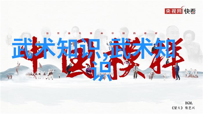 正确认识中国武术-孙天民