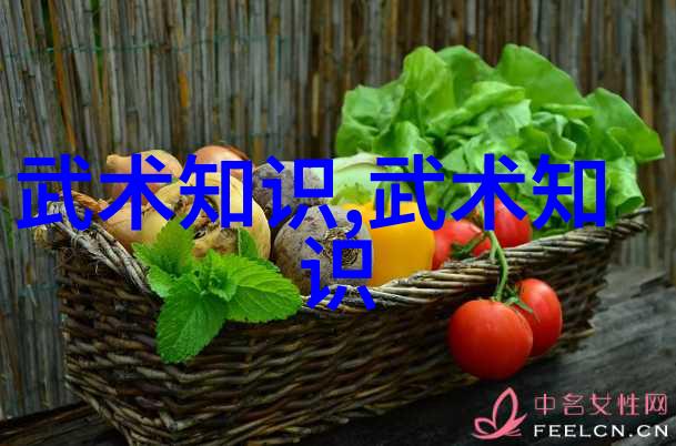 谈武术套路攻防的实用性以少林拳典型招式为例-冉宏伟