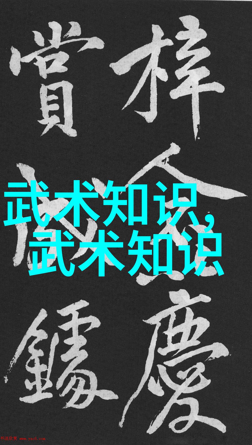 谈谈武术基本功中的跳跃动作-武崇玉