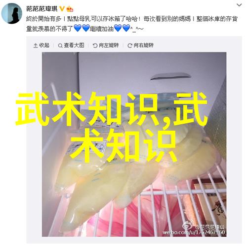 论武术套路演练中的动静节奏-周惠新