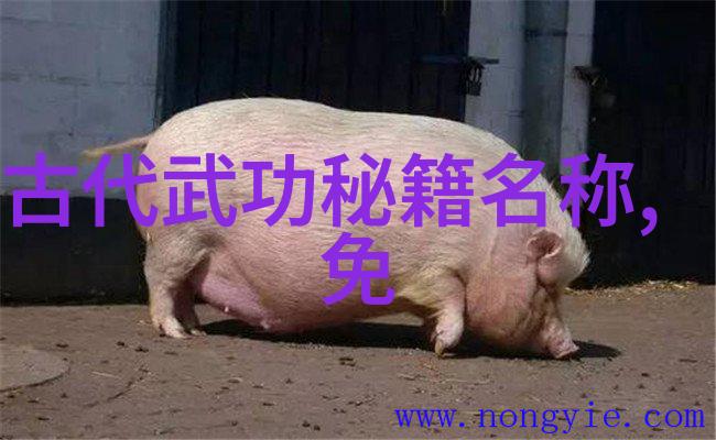 龙门派千里耳法