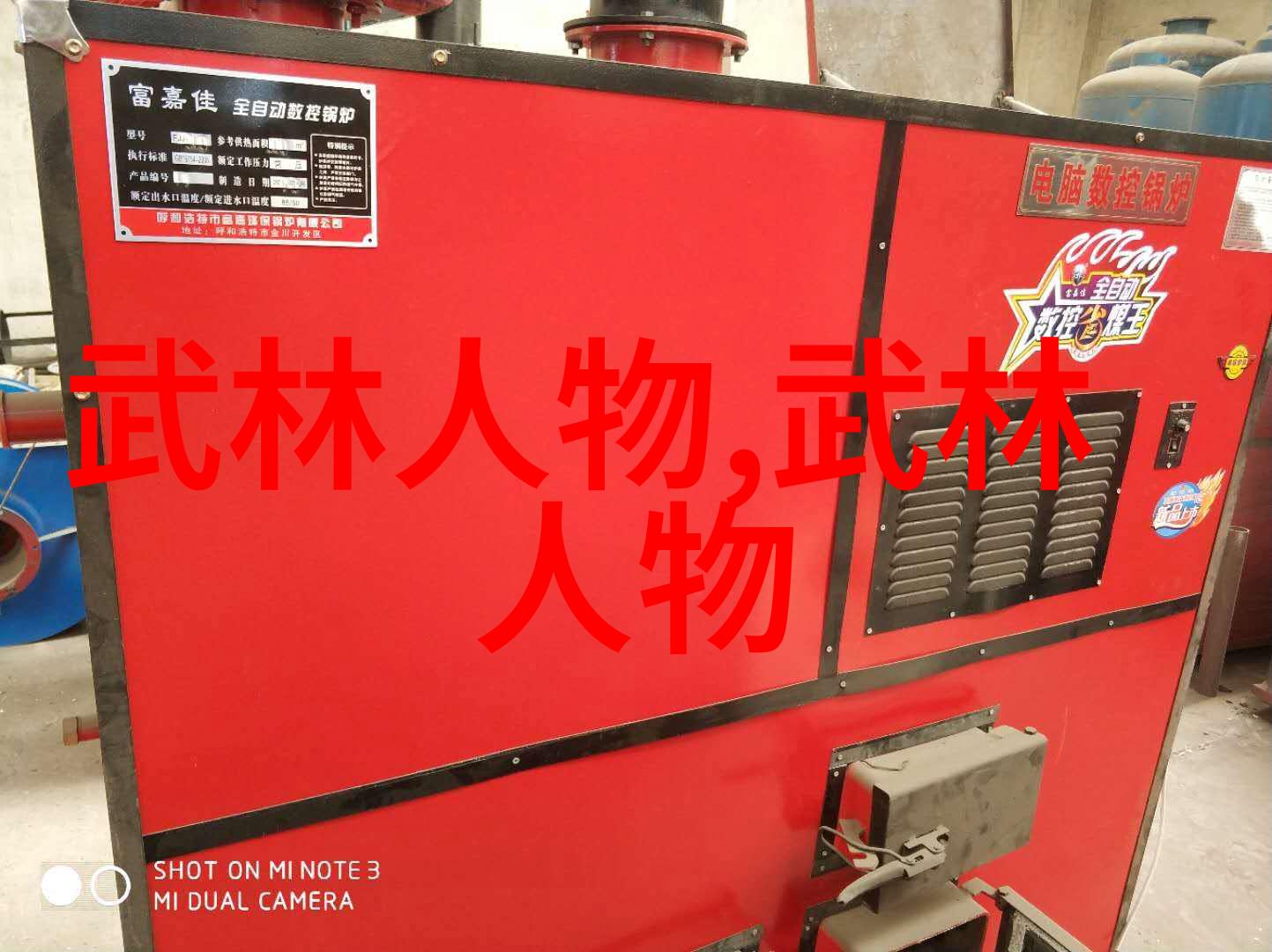 武术大家李文章