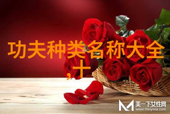 武术中的卧虎功