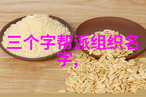 门派拳种崂山派啻善门