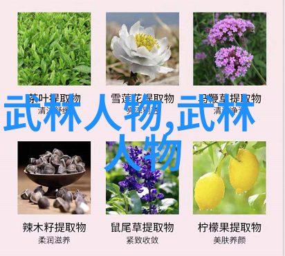 铁掌大侠宋铁龙赴俄切磋武艺 开展武术文化交流