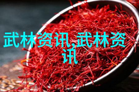 中国衡水第四届滨湖国际杯传统武术及太极拳交流大会开幕