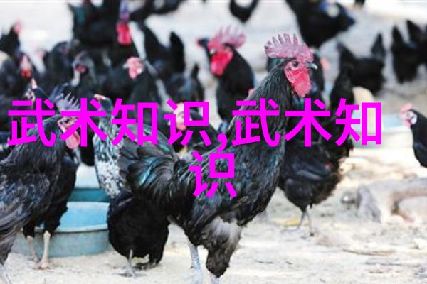 网络传播学视野下的中华武术发展观-黄俊儒