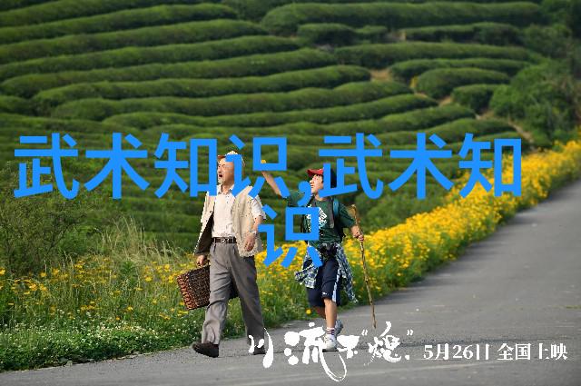 贵州省高校体育教育专业武术课程设置研究-唐涌 李修萌