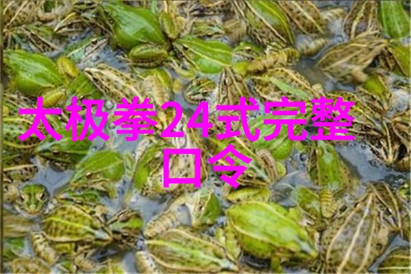 铜人混元功-杨保宗 祁美娟