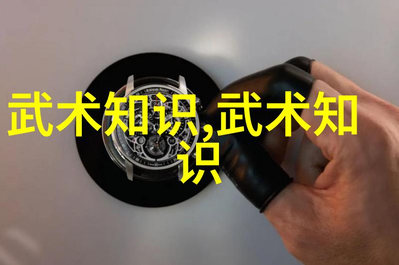逆境中前行中华传统武术理性化的选择与定位