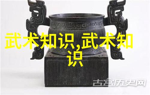 盘破门武术发展中存在的几个问题-向永林