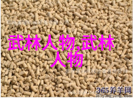 青城功夫王何道君的传奇武功