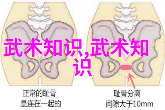 武术如何练如何养