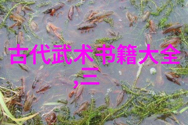 武当轻身功