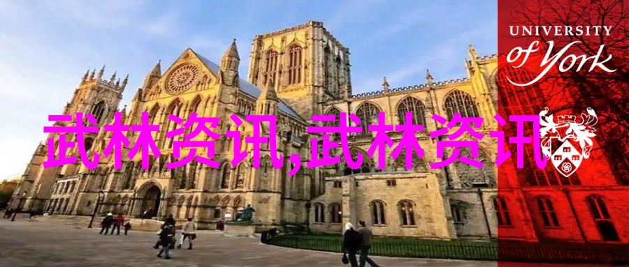 2015年首届全国体育院校功夫全能技大奖赛新闻发布会在京举行