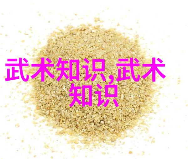 浅析中西方纪录片视角下的武术传播-傅智 张晶
