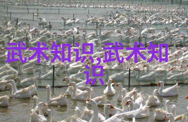 从孔子思想看传统武术的继承-肖峰