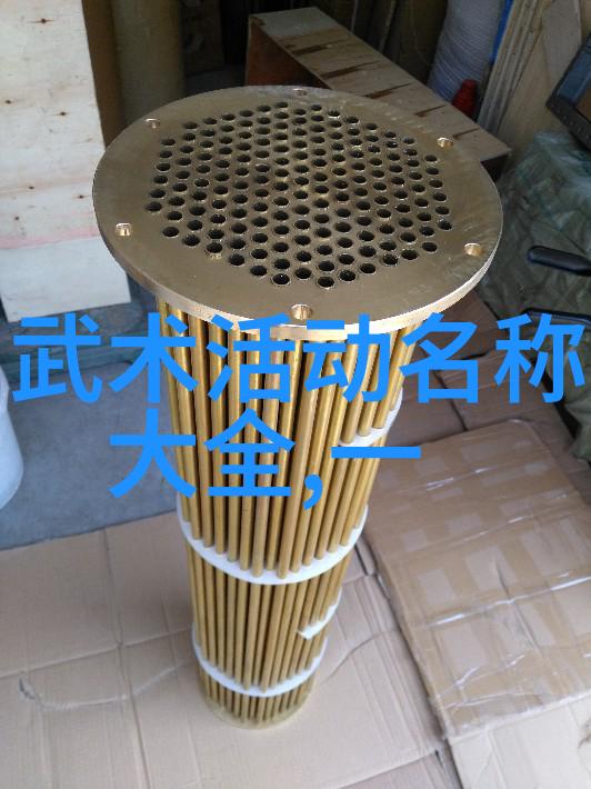 武当拳功养生技击原理与特点-杨群力