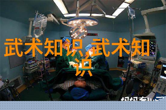 武术用于养生防病治病的辨析-罗维仑