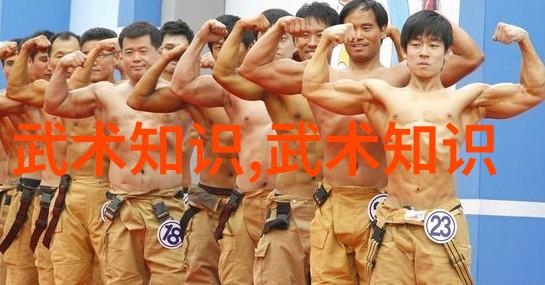 论武术影视对武术艺术的传播价值与作用-于主恒 王森